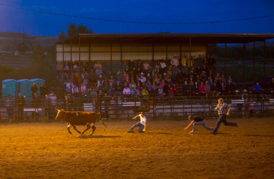 Three men try to rope a steer at a rodeo near CM Ranch in Dubois, WY | cabins in Dubois Wyoming