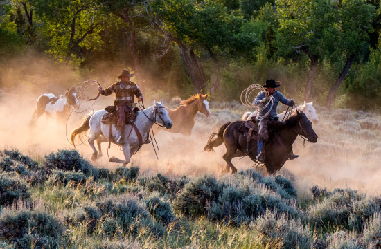 Ranch hands on horseback herd riderless horses near CM Ranch in Dubois, WY | Wyoming dude ranch